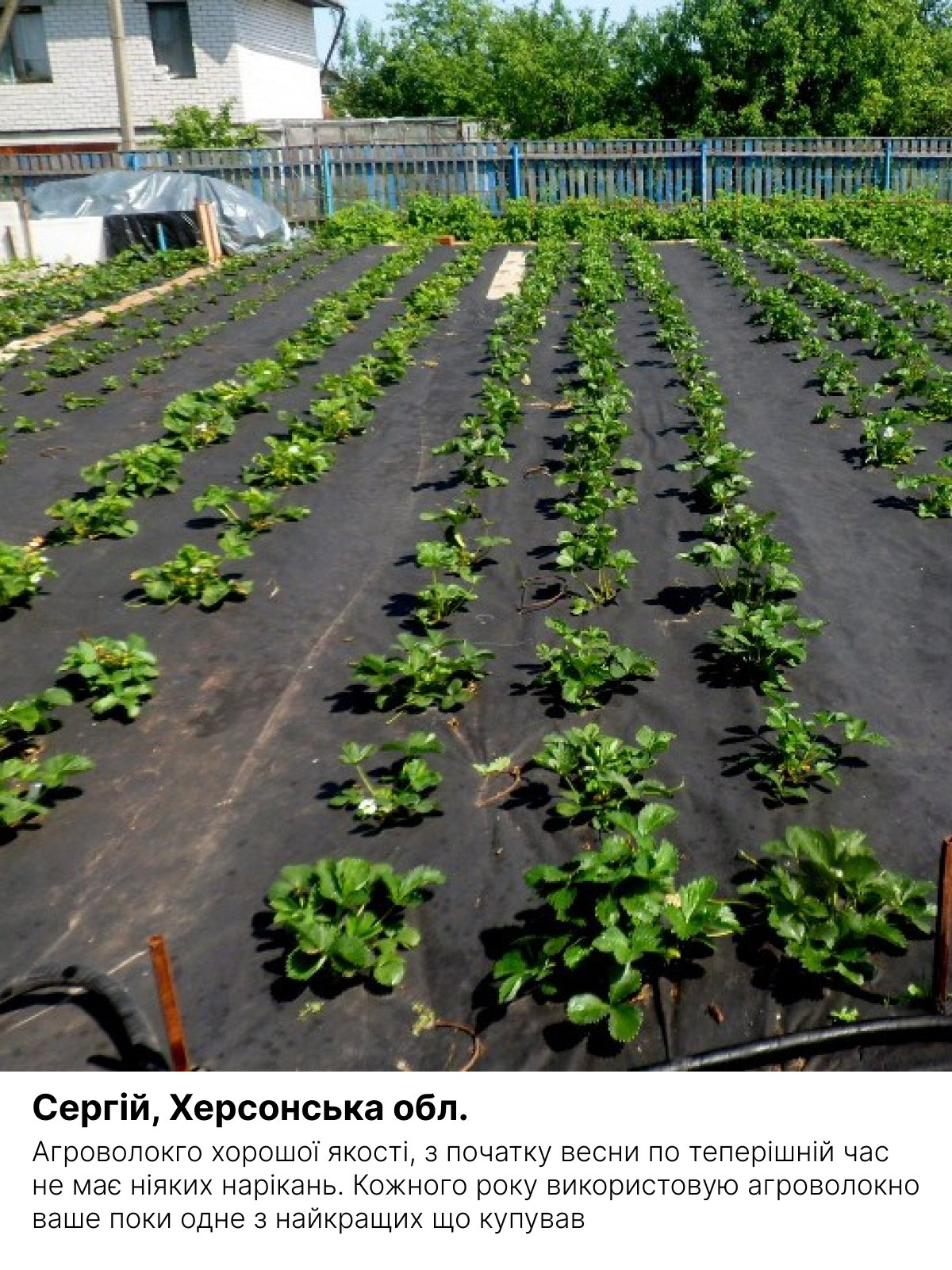 Відгук покупця 1